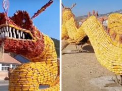 В честь богатого урожая фермеры создали скульптуру дракона из кукурузы