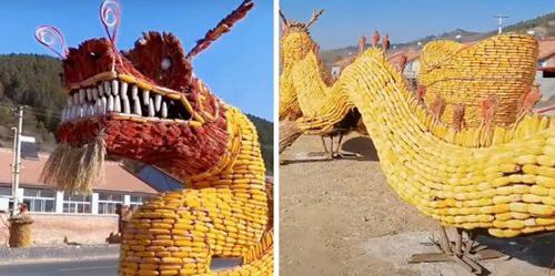 В честь богатого урожая фермеры создали скульптуру дракона из кукурузы