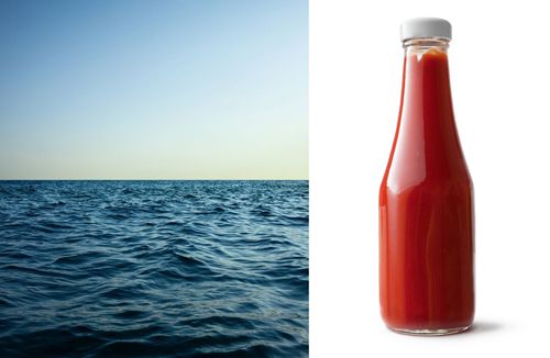 Мужчина, которого унесло на лодке в море, 24 дня питался кетчупом