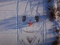 В честь нового года фермер изобразил на снегу гигантского кролика