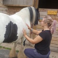 Женщина оставила работу в баре, чтобы стать экстрасенсом для животных, в том числе умерших