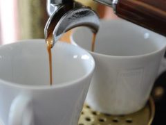 Хозяйке посоветовали оставить в покое личинок, обнаруженных в кофемашине