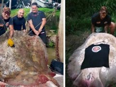 Рыбак два часа боролся с 250-килограммовым скатом и сумел с ним справиться