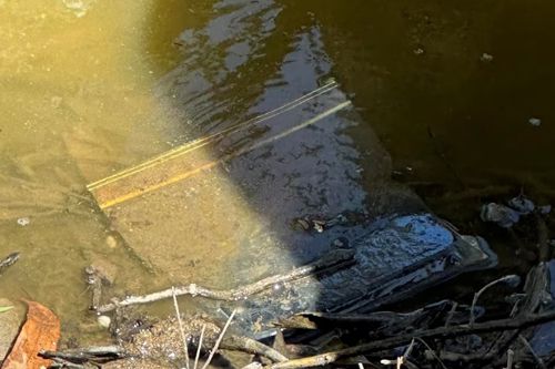 Телефон, утонувший в реке, нашёлся и оказался в рабочем состоянии