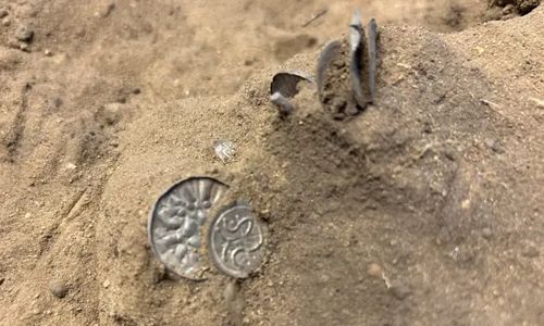 Девушка обнаружила в кукурузном поле клад старинных монет