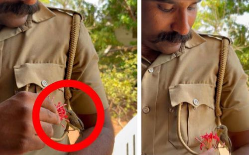 Полицейский угостил цветочком птичку, усевшуюся на его униформу