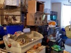 Полицейские обнаружили в доме 167 животных, содержавшихся в ужасных условиях