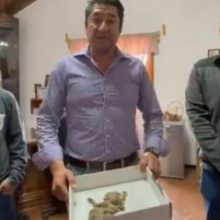 Мэр города продемонстрировал людям останки гоблина, найденные на складе