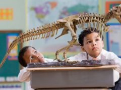 Отца семейства возмутила школа, которая отрицает существование динозавров и эволюцию