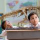 Отца семейства возмутила школа, которая отрицает существование динозавров и эволюцию