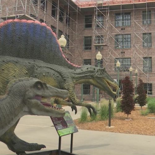 Полицейским удалось вернуть украденную статую динозавра