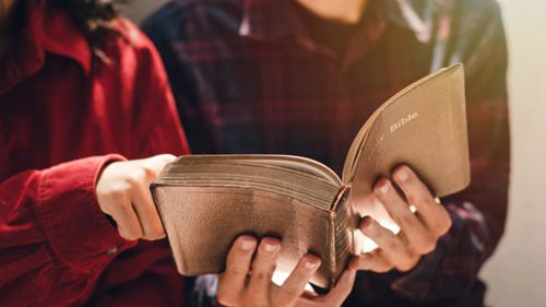 Библию удалили из школьной библиотеки, посчитав книгу слишком неприличной для детей