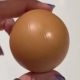 Покупательница обнаружила в коробке идеально круглое яйцо
