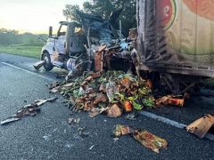 Результатом несчастного случая стал повреждённый грузовик и подгоревшие бананы