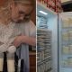 Женщина попала в Книгу рекордов Гиннеса за пожертвованное грудное молоко