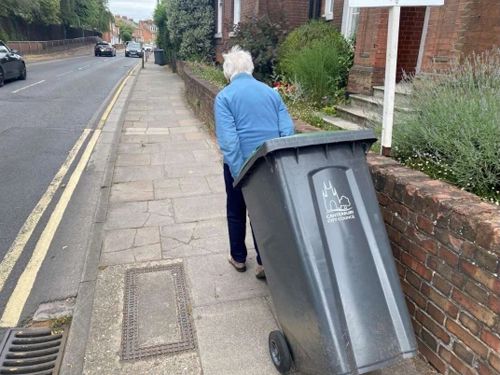Бабушка три километра тащила мусорный контейнер, который никто не захотел убирать