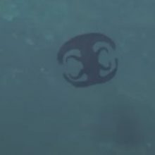 Зрителям показали подводного «инопланетянина», похожего то на логотип, то на медузу