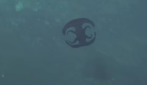 Зрителям показали подводного «инопланетянина», похожего то на логотип, то на медузу