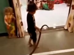 Малыш приволок в дом живую змею и напугал родственников