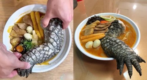 В ресторане начали готовить суп с крокодильими лапами