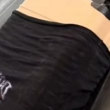 Девушка раздела своего бойфренда, чтобы облачить в его футболку дорогостоящий чемодан