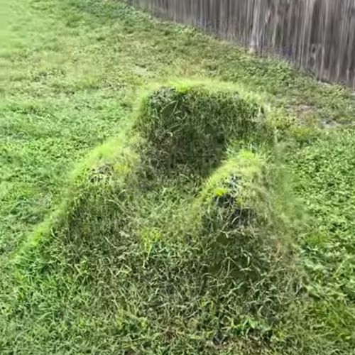 Мастер полгода делал у себя в саду травяное кресло