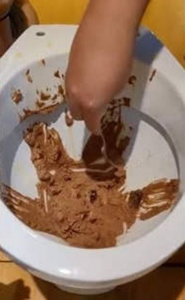 В ресторане подают шоколадное мороженое в унитазах