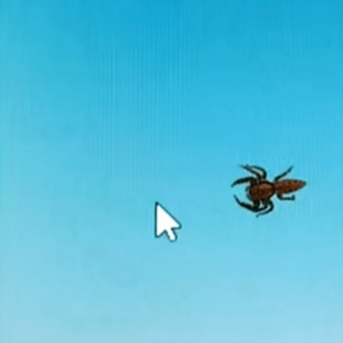 Крошечный паук, пожелавший поймать курсор на экране, ничего не добился