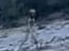 Инопланетянина сфотографировали, когда он прогуливался по берегу реки