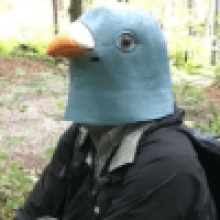 Эксперт не смог изучить щебет синиц, несмотря на то, что целый год носил птичью маску