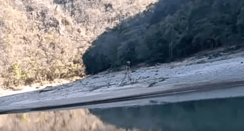 Инопланетянина сфотографировали, когда он прогуливался по берегу реки