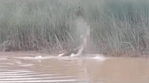 Крокодил убил женщину, пришедшую на реку постирать бельё