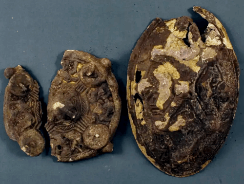 Родственники искали потерянную серьгу, но вместо этого нашли артефакты викингов