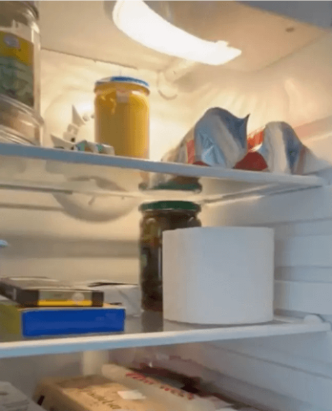 Люди освежают холодильники, помещая в них туалетную бумагу