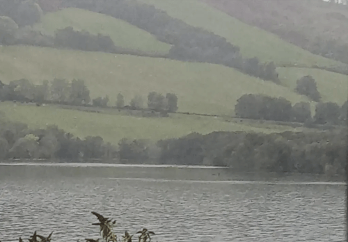 Очевидец полагает, что заметил в озере Лох-Несс легендарного монстра