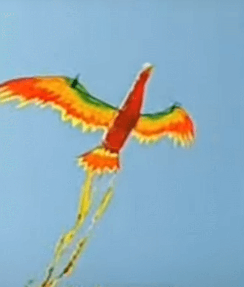 Пожилой умелец изготовил воздушного змея в виде «огненного» феникса