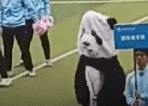 Талисман в виде панды, подбадривавший студентов-спортсменов, столкнулся с проблемами с костюмом