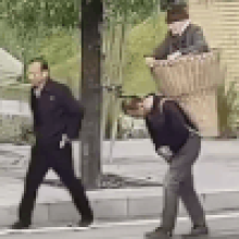 Сыновья посадили престарелую маму в бамбуковую корзину, чтобы отнести её в больницу