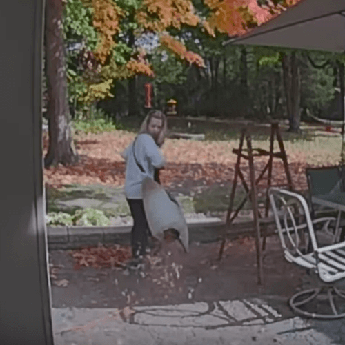 Женщина с садовым пылесосом не сразу заметила, что у неё дырявый мешок