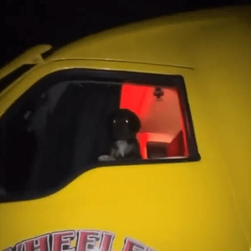 Непослушный пёс заперся от хозяина в грузовике