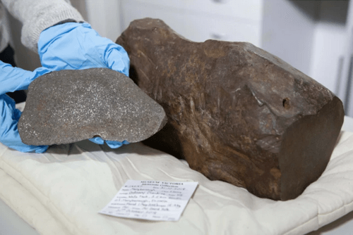 Мужчина с металлоискателем нашёл «камень», который учёные посчитали более дорогим, чем золото
