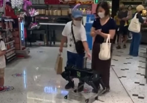 В магазине поселился робот-собака, предлагающий покупателям продезинфицировать руки
