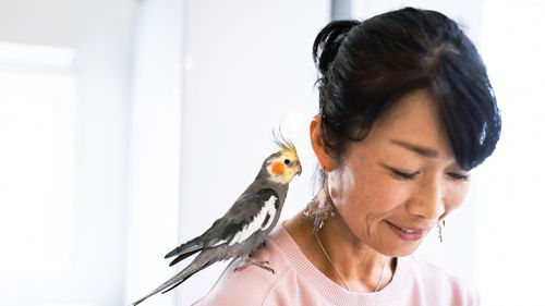 Из-за попугая женщина отказалась помочь падчерице в планировании свадьбы