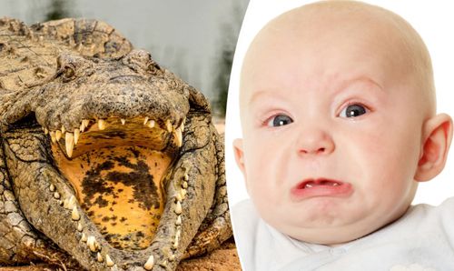 Учёные выяснили, что крокодилов привлекают детские крики