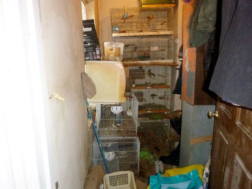 Полицейские обнаружили в доме 167 животных, содержавшихся в ужасных условиях