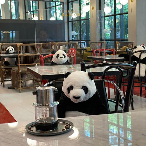 Сотрудники ресторана рассадили за столиками игрушечных панд