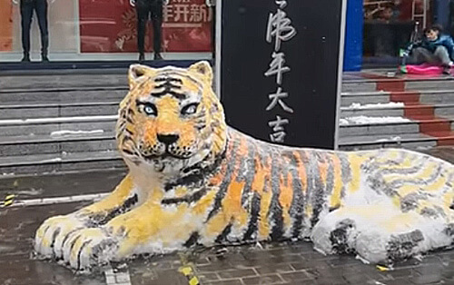 Отец с сыном четыре часа делали праздничную скульптуру тигра из снега