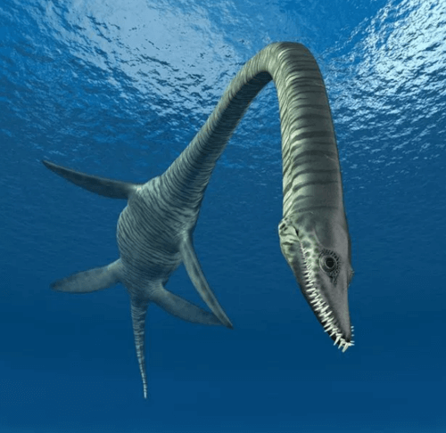 Рыбаки выловили из океана труп динозавра, но выкинули его из-за неприятного запаха